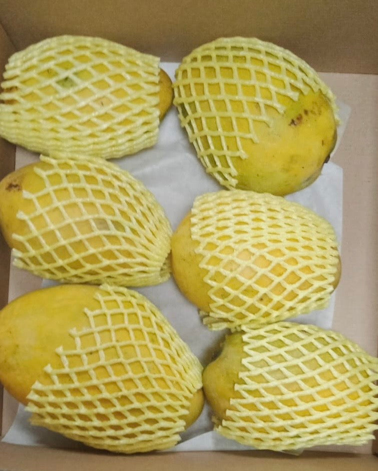 Imam Pasand Mango – Premium Indian Variety | FreshNBulk UAE