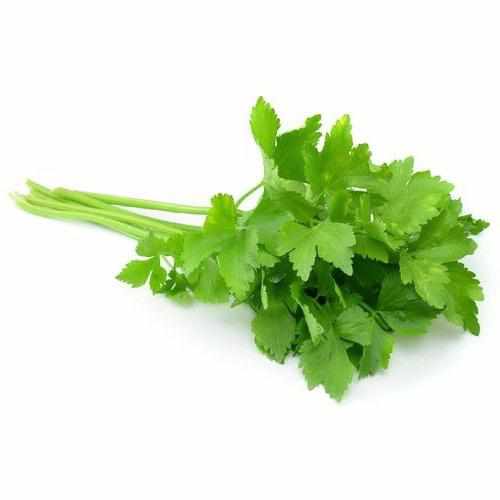 Shop Coriander Leaves in UAE (Dubai, Sharjah, Abu Dhabi, Ajman) - FreshNBulk.ae