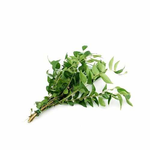 Shop Curry Leaves in UAE (Dubai, Sharjah, Abu Dhabi, Ajman) - FreshNBulk.ae