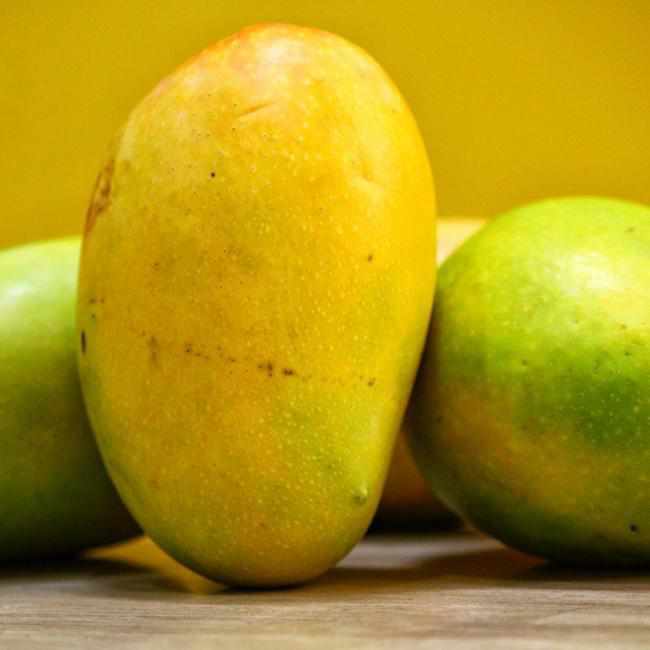 Shop Kesar Mangoes - 3 Kg in UAE (Dubai, Sharjah, Abu Dhabi, Ajman) - FreshNBulk.ae