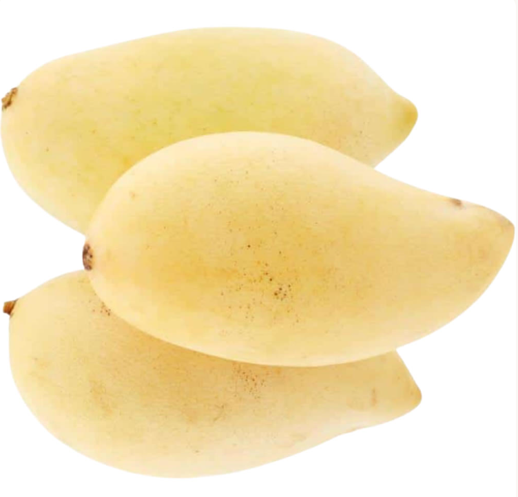 Namdokmai Mango @freshnbulk.ae