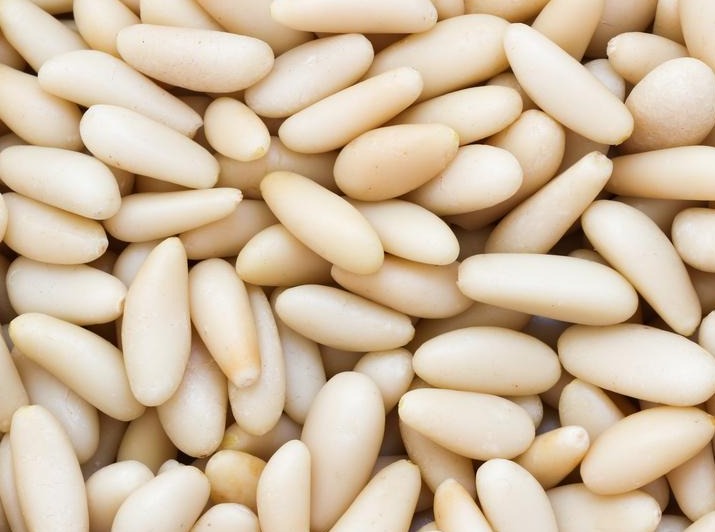 Shop Pine Nuts in UAE (Dubai, Sharjah, Abu Dhabi, Ajman) - FreshNBulk.ae