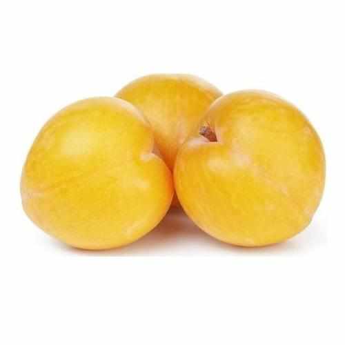 Shop Plums Yellow in UAE (Dubai, Sharjah, Abu Dhabi, Ajman) - FreshNBulk.ae