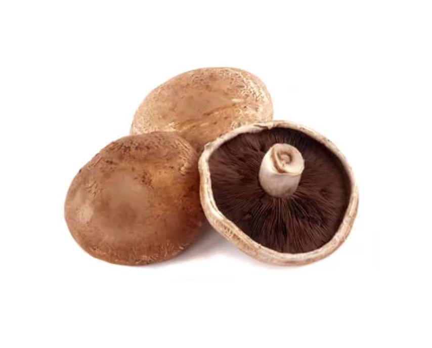 Shop Portobello Mushroom in UAE (Dubai, Sharjah, Abu Dhabi, Ajman) - FreshNBulk.ae