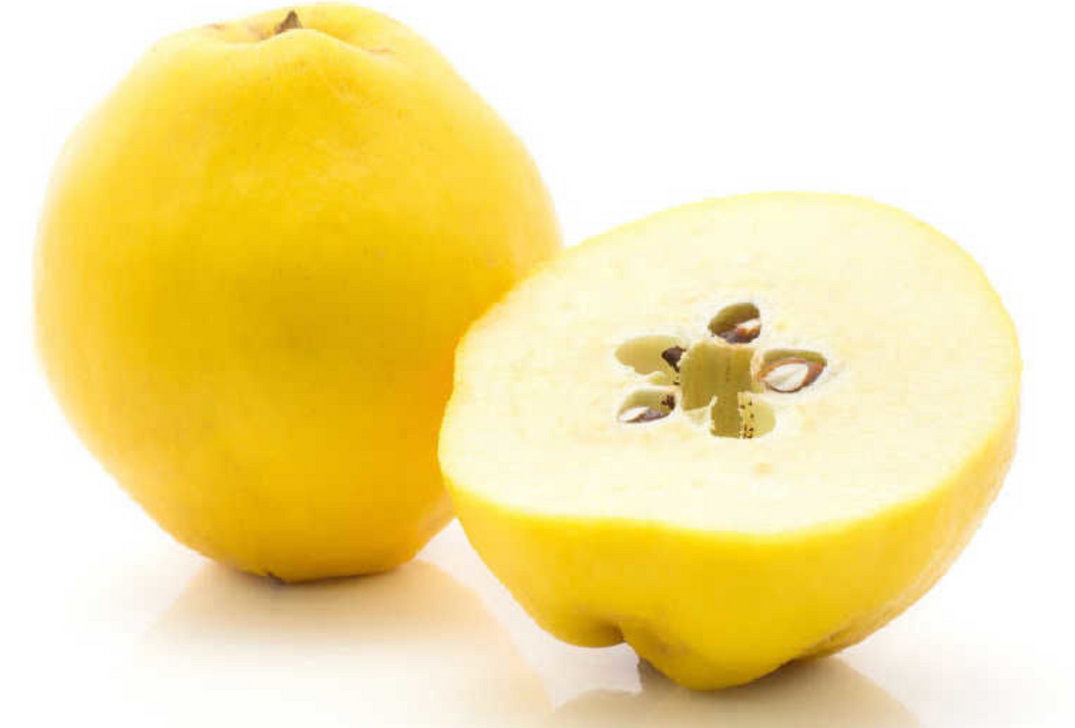 Quince Box