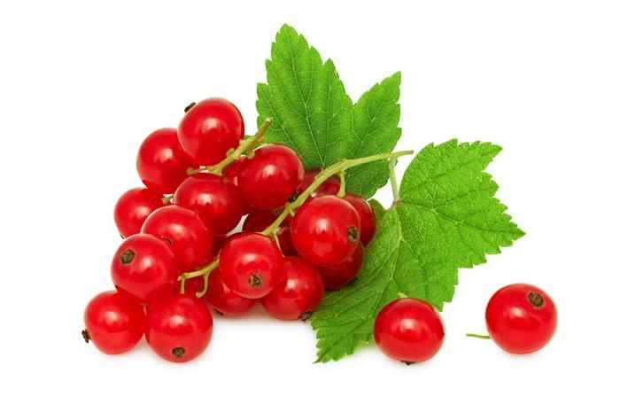 Shop Red Currant in UAE (Dubai, Sharjah, Abu Dhabi, Ajman) - FreshNBulk.ae