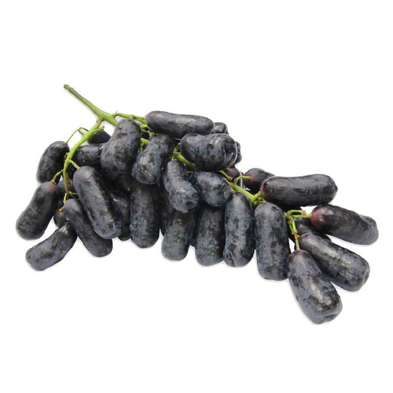 Shop Sapphire Sweet Grapes in UAE (Dubai, Sharjah, Abu Dhabi, Ajman) - FreshNBulk.ae
