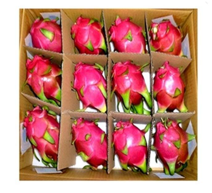 Dragon Fruit White Box | FreshNBulk UAE