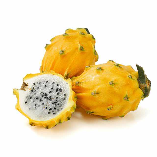 Shop Yellow Dragon Fruit in Dubai, Sharjah, Ajman, Abu Dhabi - UAE. - FreshNBulk.ae