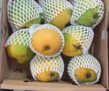 Alphonso Mango Box – Fresh Indonesian Alphonso | FreshNBulk UAE