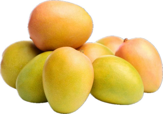 Anwar Ratol Mango – Premium Pakistani Mango | FreshNBulk UAE