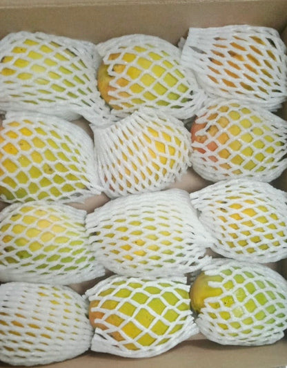 Indian Alphonso Mango - Airflown Fresh (Premium) | FreshNBulk UAE