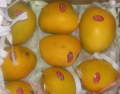 Alphonso mangoes @ www.freshnbulk.ae
