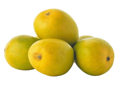 Alphonso Mangoes www.freshnbulk.ae
