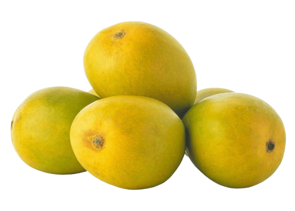Alphonso Mangoes www.freshnbulk.ae