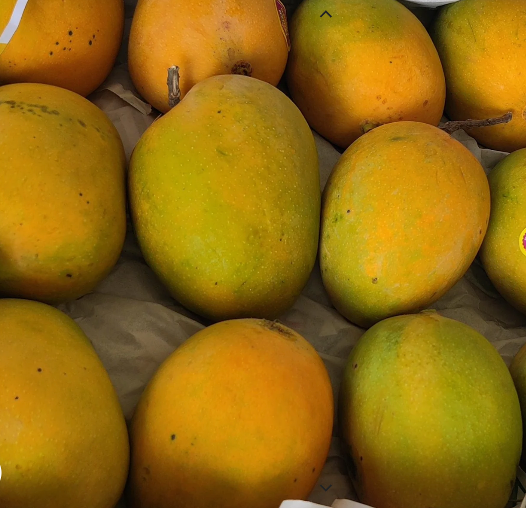 Alphonso Mangoes @FreshNBulk.ae