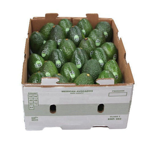 Hass Avocado Box@freshnbulk.ae