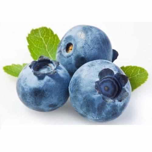 Shop Blueberries in UAE (Dubai, Sharjah, Abu Dhabi, Ajman) - FreshNBulk.ae