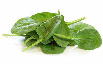 Baby Spinach Organic | FreshNBulk UAE