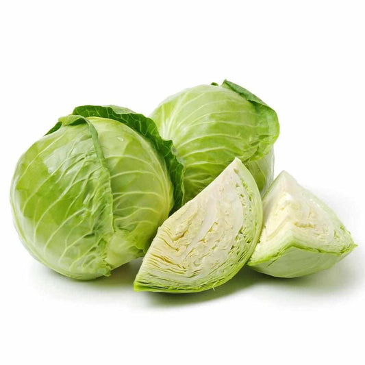 Shop Cabbage in UAE (Dubai, Sharjah, Abu Dhabi, Ajman) - freshnbulk.ae
