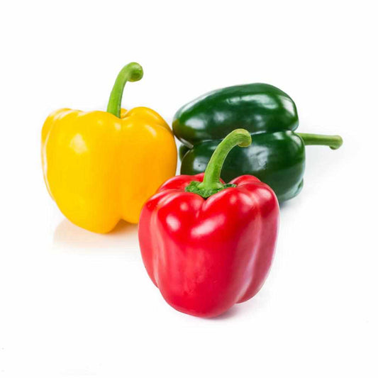 Shop Capsicum Mix (Red, Yellow, Green) in UAE (Dubai, Sharjah, Abu Dhabi, Ajman) - FreshNBulk.ae