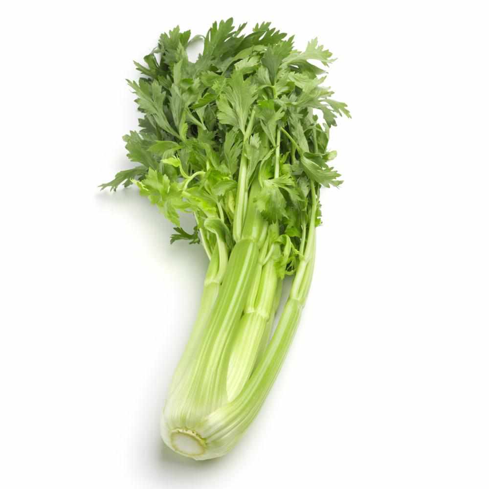 Shop Celery in UAE (Dubai, Sharjah, Abu Dhabi, Ajman) - FreshNBulk.ae