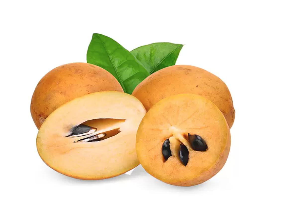 Shop Chikoo in UAE (Dubai, Sharjah, Abu Dhabi, Ajman) - FreshNBulk.ae