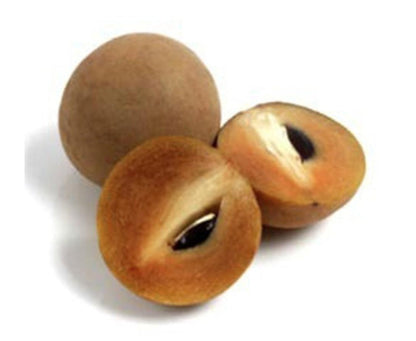 Shop Chikoo in UAE (Dubai, Sharjah, Abu Dhabi, Ajman) - FreshNBulk.ae