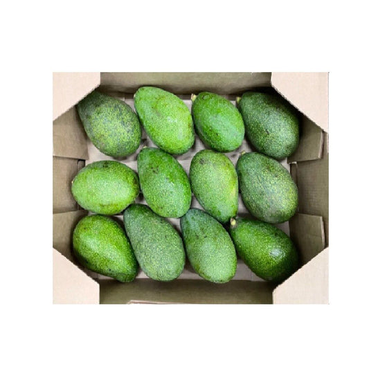 Fuerteavocado_box@freshnbulk.ae