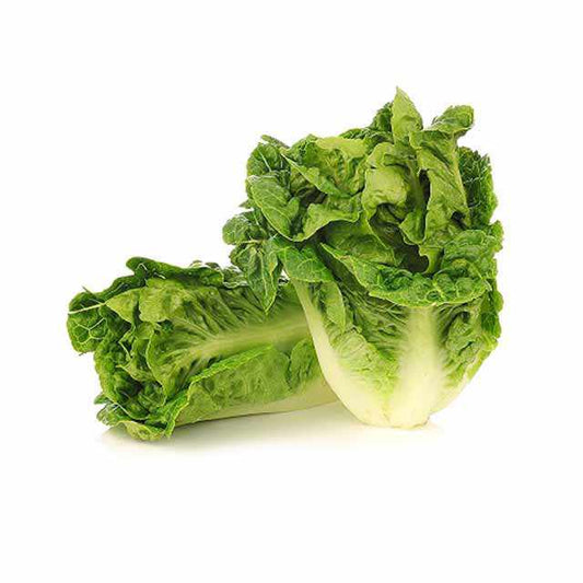 Shop Lettuce Gem in UAE (Dubai, Sharjah, Abu Dhabi, Ajman) - FreshNBulk.ae