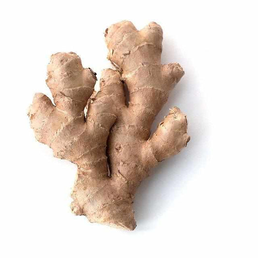 Shop Ginger India in Dubai, Sharjah, Ajman, Abu Dhabi - UAE. - FreshNBulk.ae