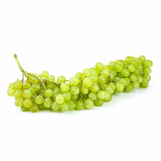 Shop Grapes White in UAE (Dubai, Sharjah, Abu Dhabi, Ajman) - FreshNBulk.ae
