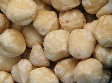 Hazelnuts 250 gm | FreshNBulk UAE