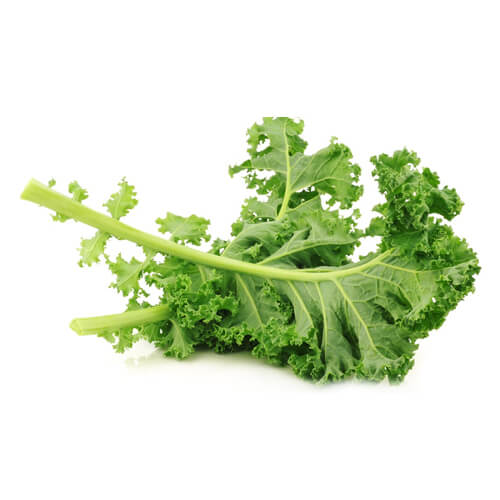 Buy Kale online in Dubai, Sharjah, Ajman, Abu Dhabi -FreshNBulk UAE