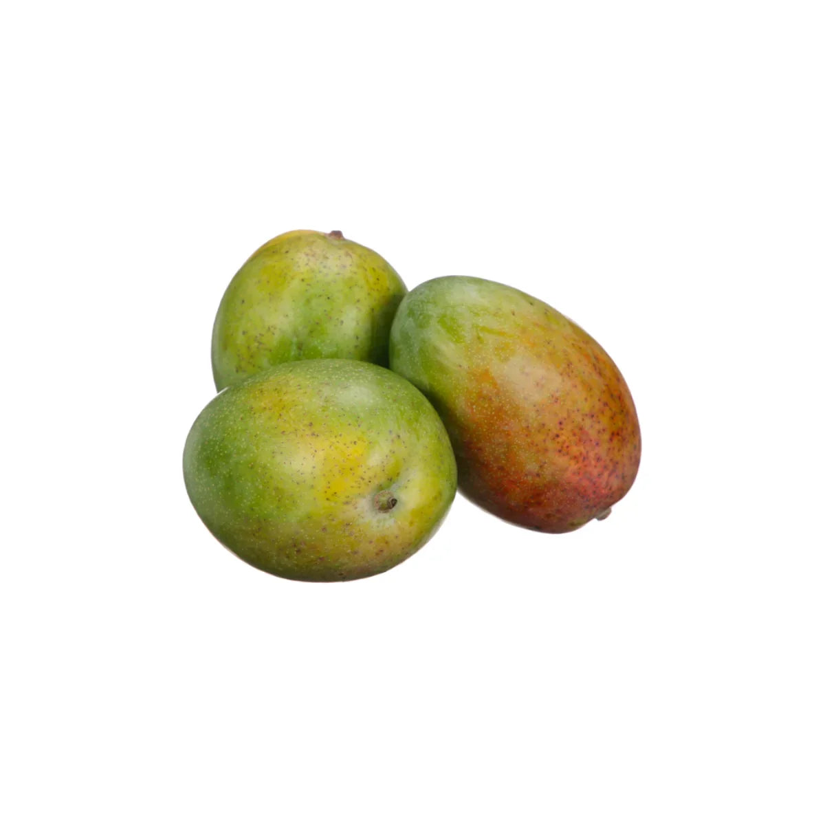 Keitt Mango