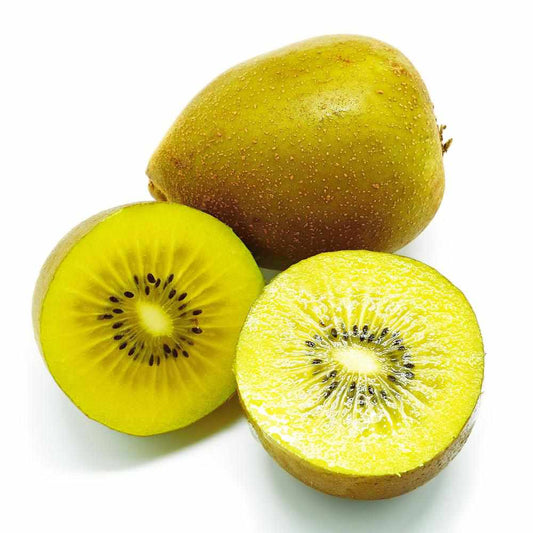 Shop Kiwi Golden in UAE (Dubai, Sharjah, Abu Dhabi, Ajman) - FreshNBulk.ae