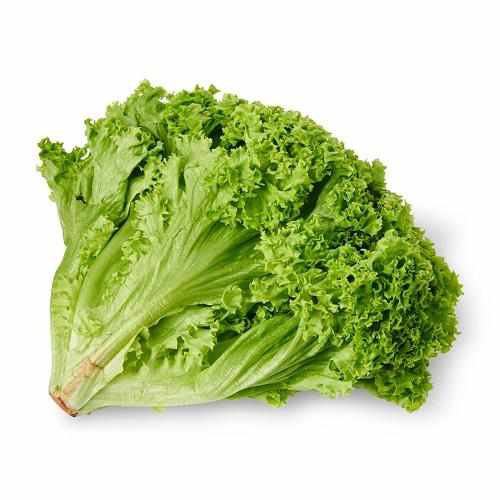 Shop  Lollo Green Bionda lettuce in Dubai, Sharjah, Ajman, Abu Dhabi - UAE in UAE (Dubai, Sharjah, Abu Dhabi, Ajman) - FreshNBulk.ae