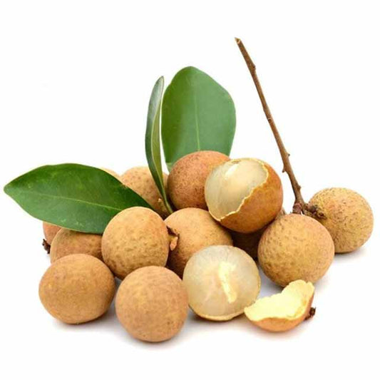 Shop Longan in UAE (Dubai, Sharjah, Abu Dhabi, Ajman) - FreshNBulk.ae