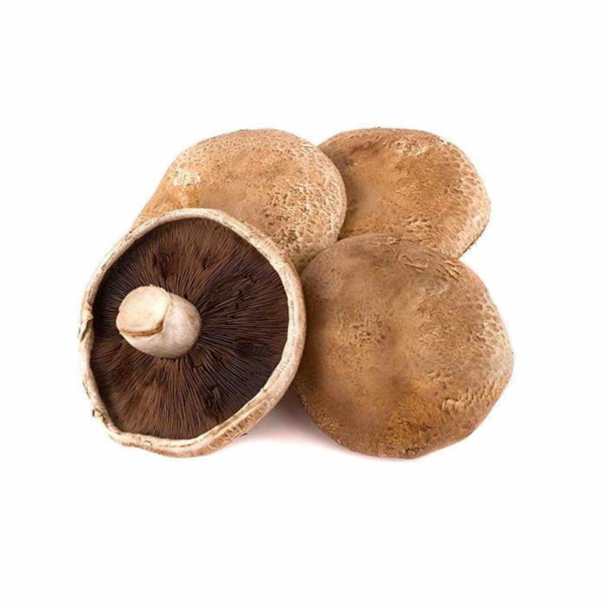 Shop Portobello Mushroom in UAE (Dubai, Sharjah, Abu Dhabi, Ajman) - FreshNBulk.ae