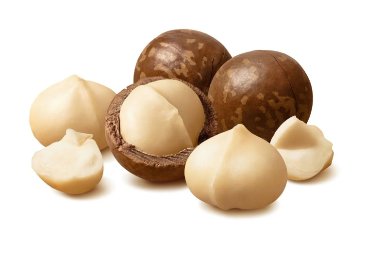 Macadamia Nuts 500g – Premium Quality | FreshNBulk UAE