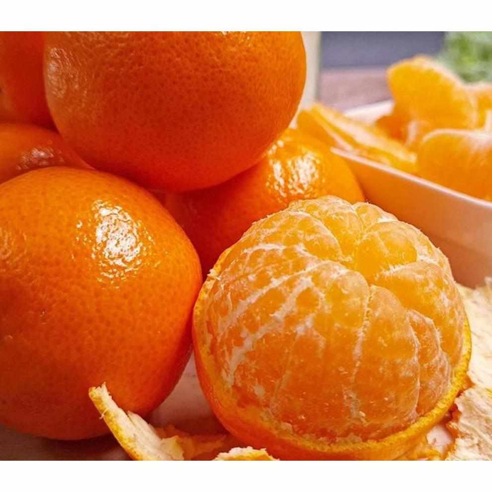 Shop Mandarin in UAE (Dubai, Sharjah, Abu Dhabi, Ajman) - FreshNBulk.ae