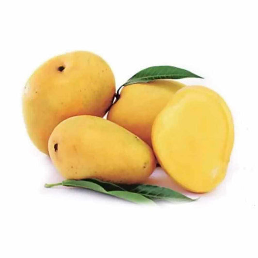 Badami Mango – Sweet Indian Variety | FreshNBulk UAE