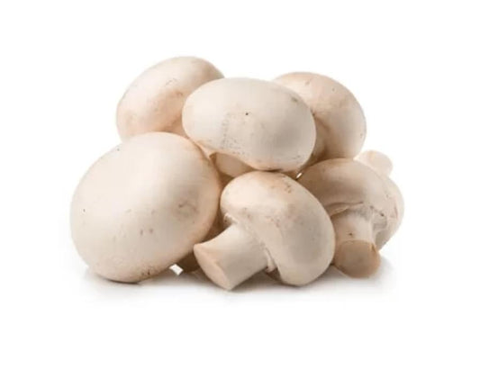 Shop Mushroom Giant in UAE (Dubai, Sharjah, Abu Dhabi, Ajman) - FreshNBulk.ae