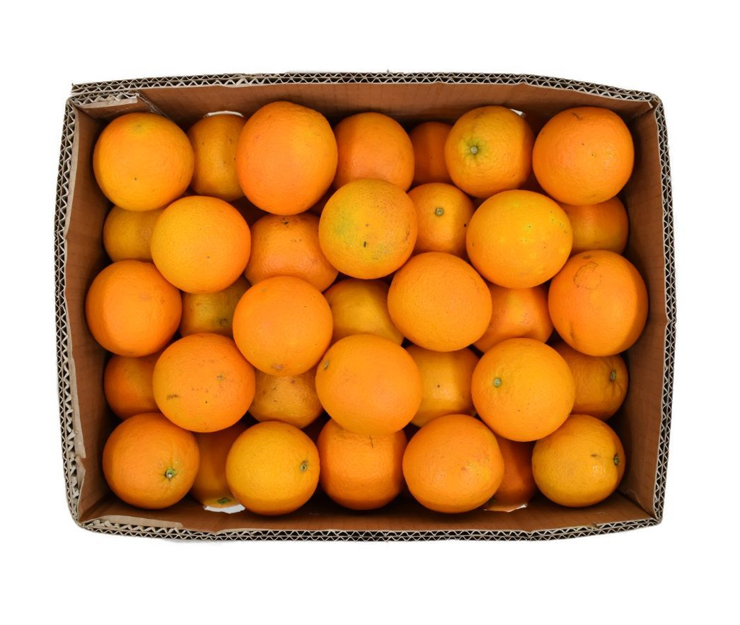Orange Valencia Box | FreshNBulk UAE