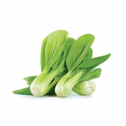 Shop Pak Choi in UAE (Dubai, Sharjah, Abu Dhabi, Ajman) - FreshNBulk.ae