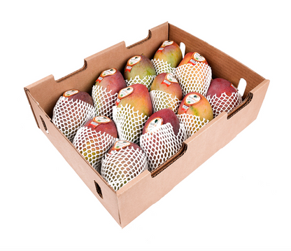 Palmer Mangoes Brazil @ FreshNBulk.ae Dubai