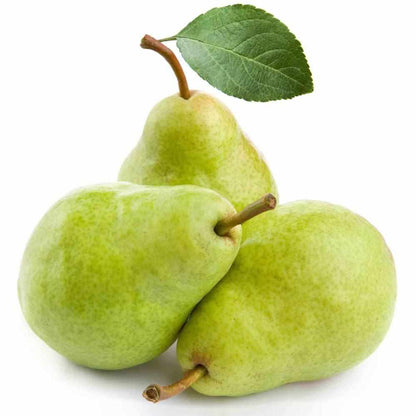 Shop Pears in UAE (Dubai, Sharjah, Abu Dhabi, Ajman) - FreshNBulk.ae