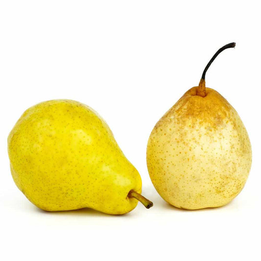 Shop Pears Ya in UAE (Dubai, Sharjah, Abu Dhabi, Ajman) - FreshNBulk.ae