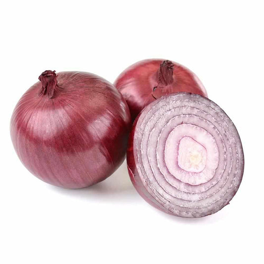 Shop Onion Red in UAE (Dubai, Sharjah, Abu Dhabi, Ajman) - FreshNBulk.ae
