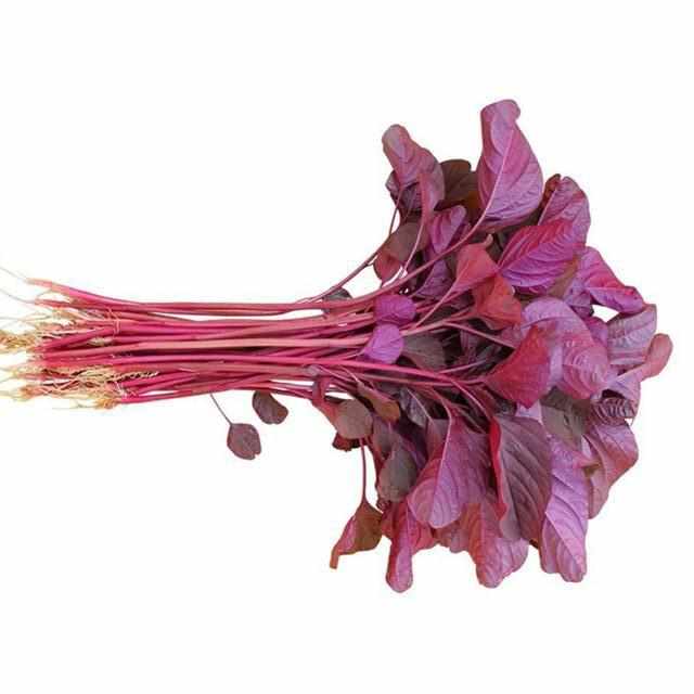 Red Spinach-Vegetables-UAE-1 Bunch-FreshNBulk.ae